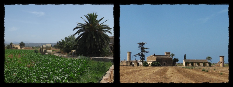 F008.jpg